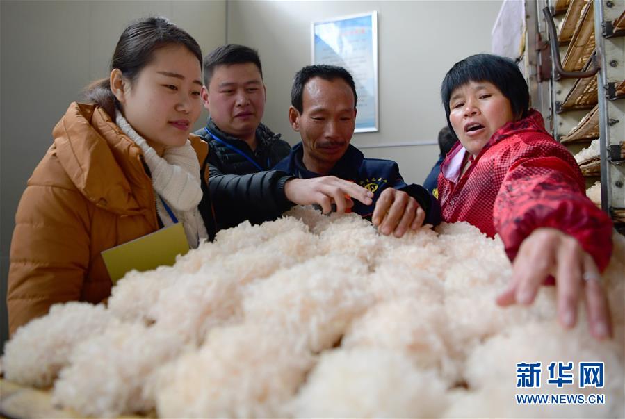 （社會）福建寧德：為精準扶貧提供紀律保障
