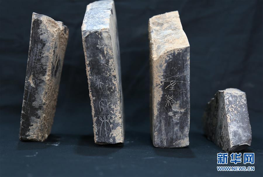 （文化）（3）陜西首次發現秦代大型國家府庫遺址