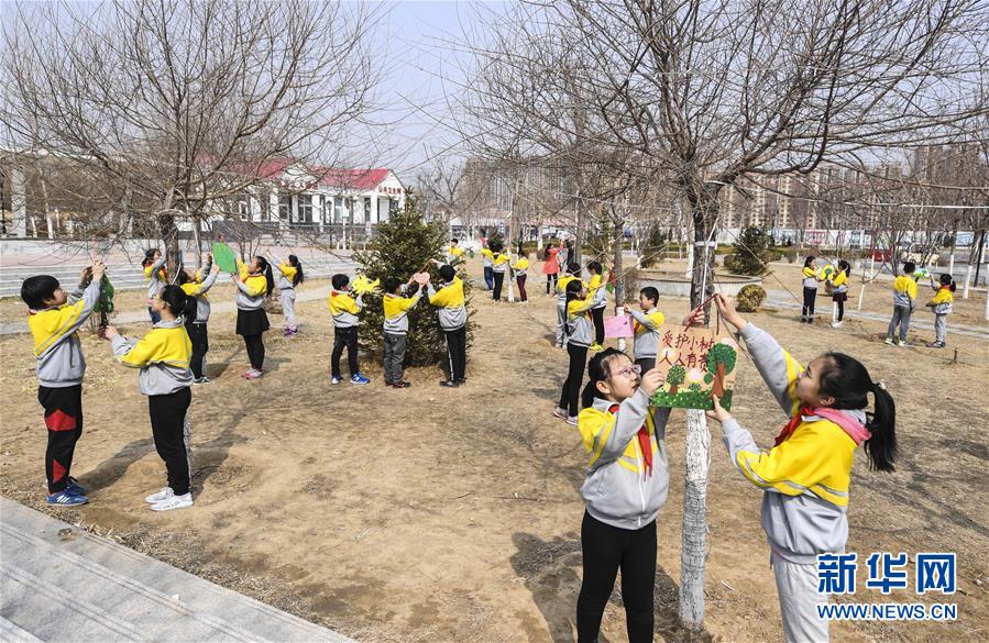 （環境）（2）世界森林日：植樹護綠在行動